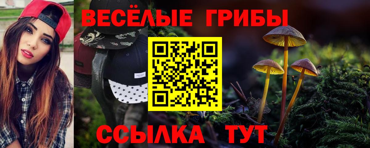 Псилоцибиновые грибы MAGIC MUSHROOMS Камышлов