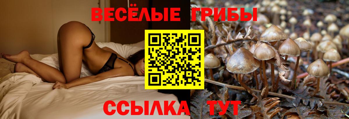 Галлюциногенные грибы мухоморы  Вход с VPN  Камышлов 